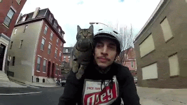 giphy%2B%25281%2529.gif