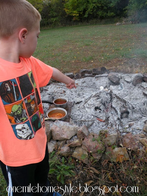 Little Brother Toasting His Marshmallows