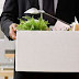 No compensatory benefits for terminated employee