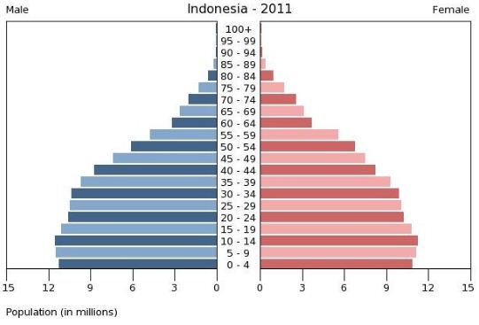 Soal Un Piramida Penduduk Geograpik