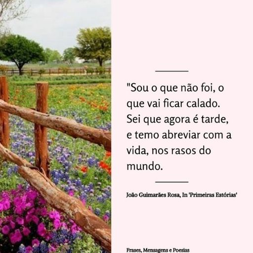Frases,Mensagens e Poesias: Frase do Livro Primeiras Estórias - Guimarães  Rosa