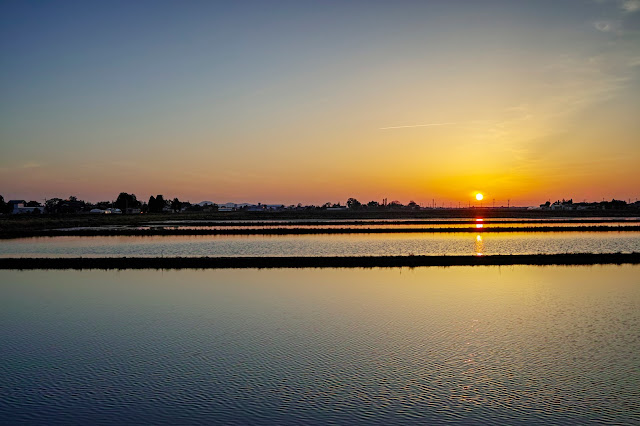 #photo #landscape #sigma #foveon #sdquattroh #japan #yamagata #tsuruoka #写真 #風景写真 #山形帝國 #山形県 #鶴岡市