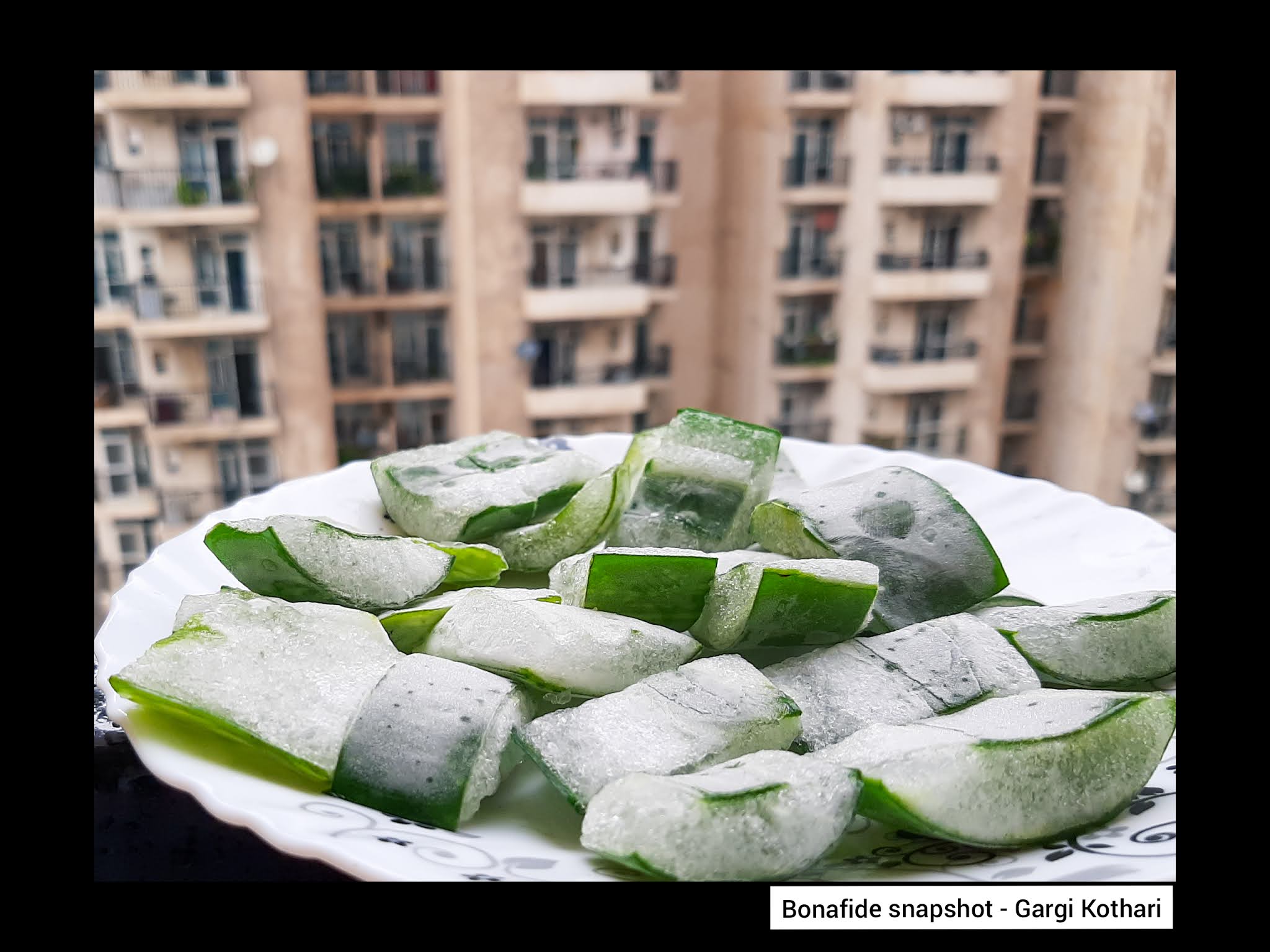 DIY AloeVera Ice Cubes Benefits, How to use