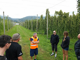 Dr. Ron Beatson in a field of New Zealand hops.