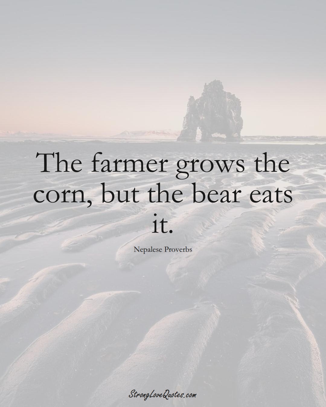 The farmer grows the corn, but the bear eats it. (Nepalese Sayings);  #AsianSayings