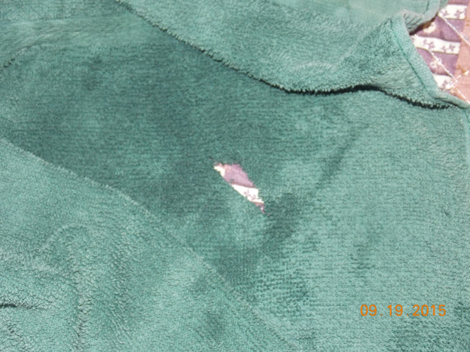 Stephen Davidson: Razor Too Sharp, Wow: