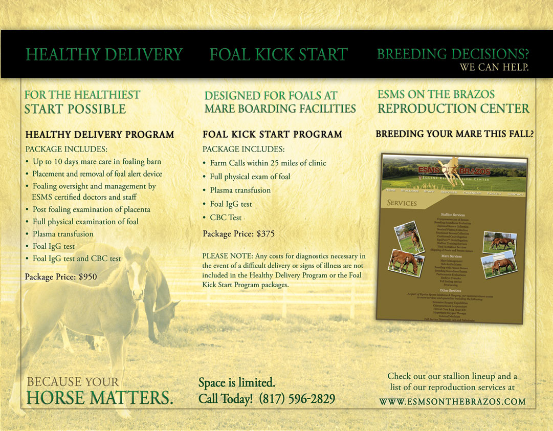 Equine Sports Medicine & Surgery