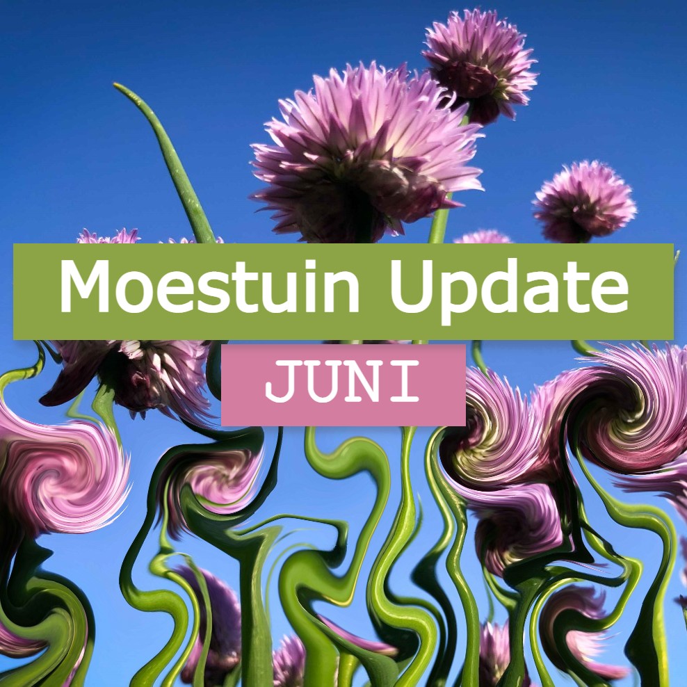 moestuin update juni volkstuin zomer blog blogger