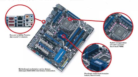 Spesifikasi Motherboard ASUS P5E64 WS Evolution, Motherboard Intel Socket LGA 775