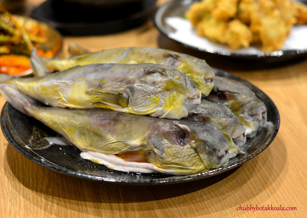 Chubby Botak Koala Singapore Food Blog, Travel and Lifestyle SBCD