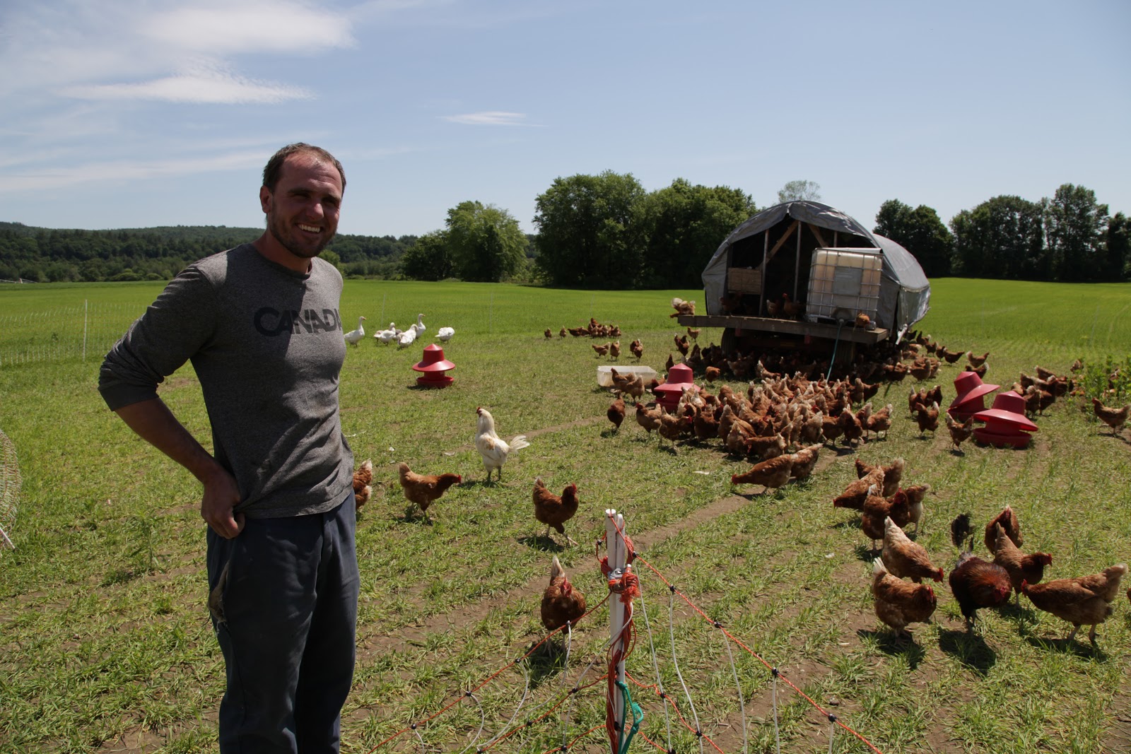 Farm 2 Fork Brookford Farm