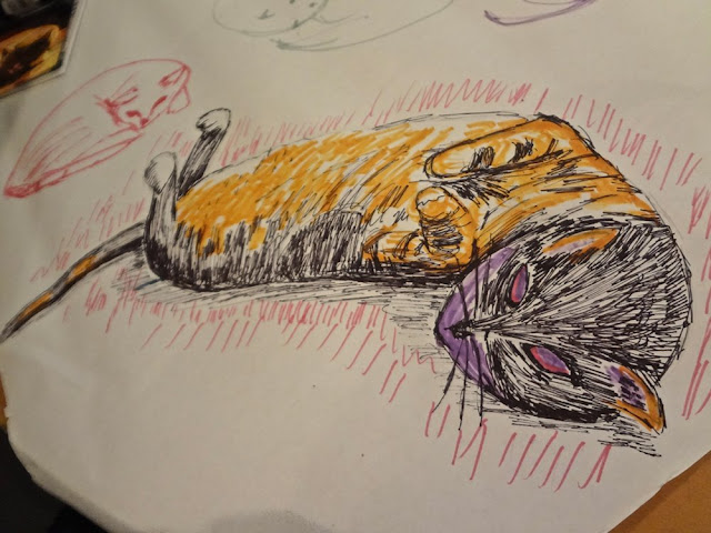 cat drawing, marker, black, orange