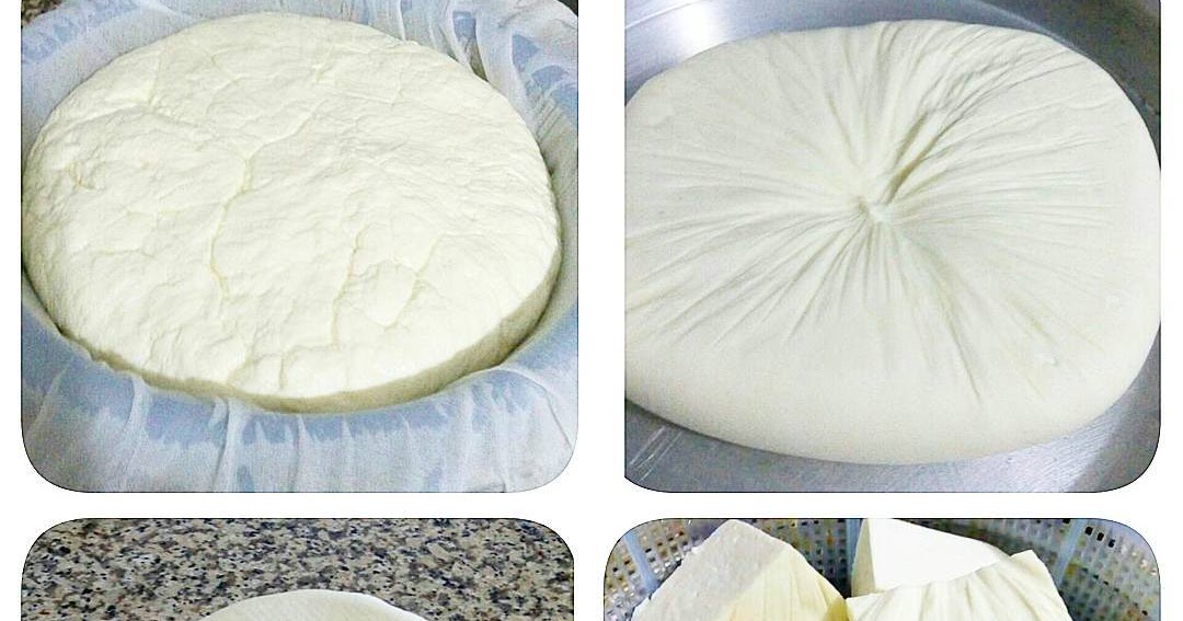 Ev Yapımı Peynir Pratik Tarifim