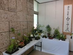 ���{�̎����A�W�T�C�W