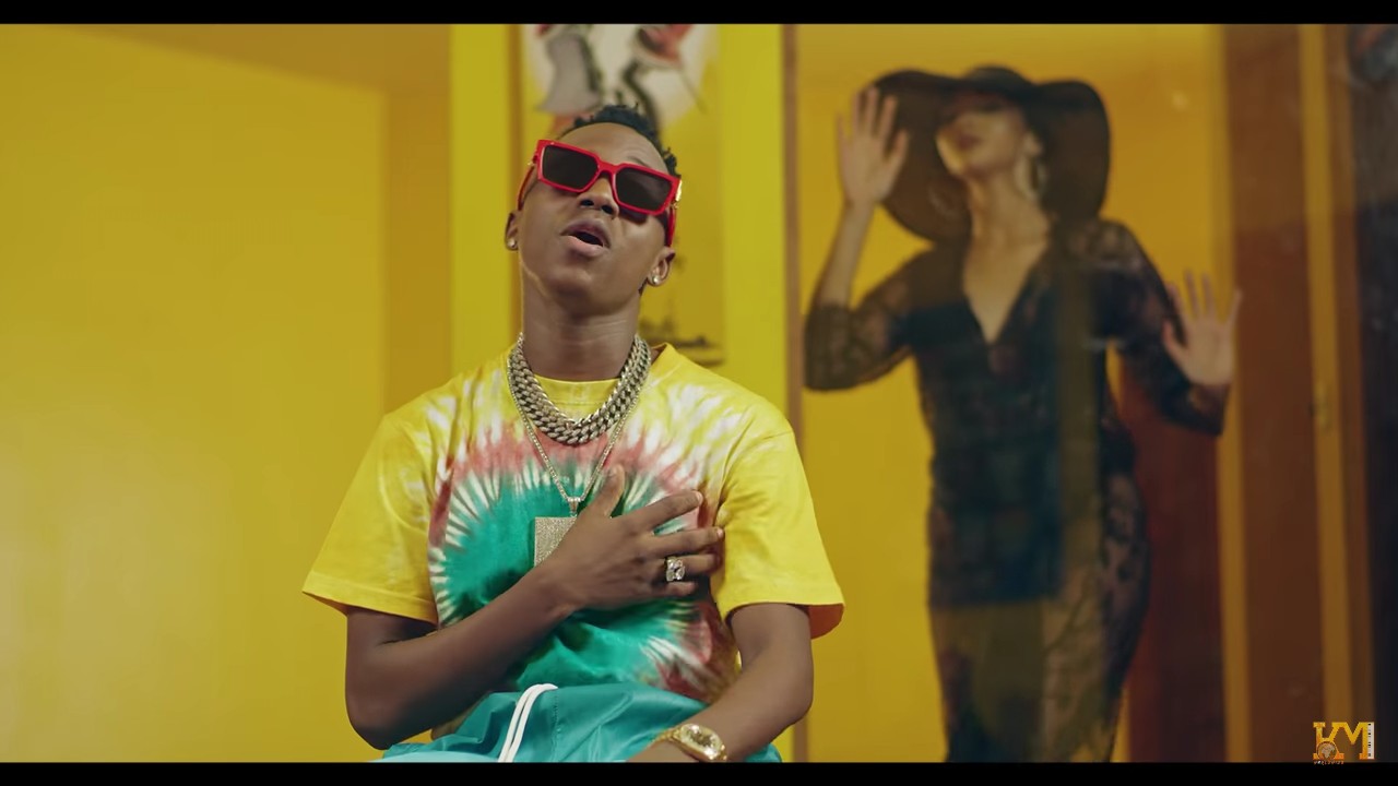 Video Ibraah ft Harmonize One Night Stand Mp4 Download Lukiza