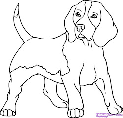 dog draw funny easily drawing