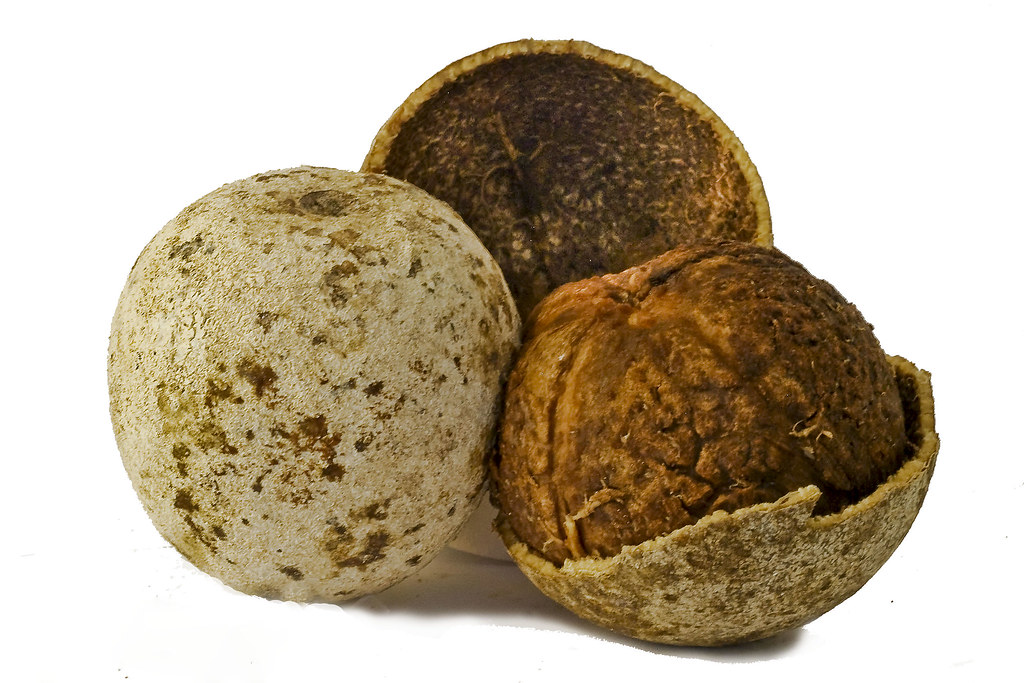 50 Fruits Name in Hindi and English फलों के नाम हिंदी और अंग्रेजी में