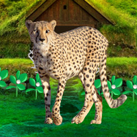 WowEacpe Save The Mountain Cheetah