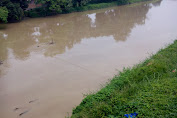 Ada Limbah Diantara Air Sungai Padang Kota Tebing Tinggi, Ikan-Ikan Pun Sempoyongan.