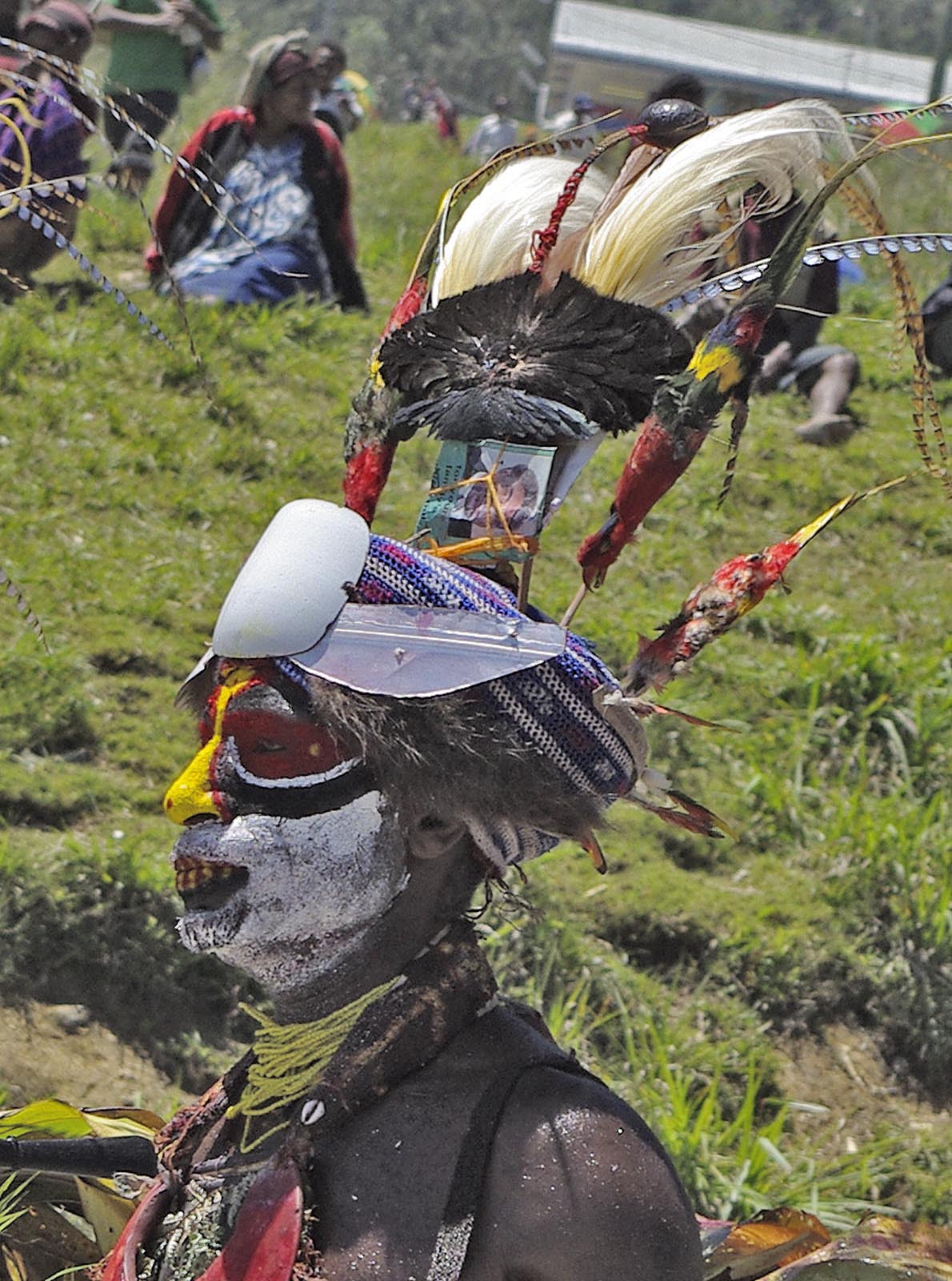 BunyipCo: Congratulations Papua New Guinea: Papua National Day 2017