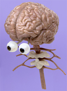 Argument: Używamy tylko 10% mózgu