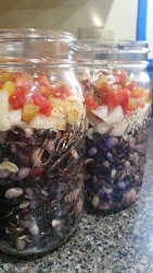 adventures quart jars