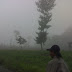 Pesona Alam Tambi