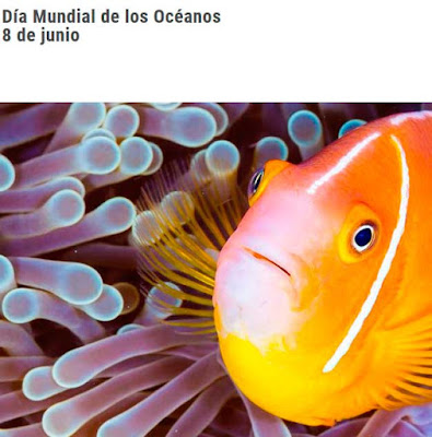 8 de junio Día Mundial de los Océanos: ¿Por qué se celebra este día"