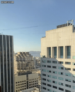 319.gif