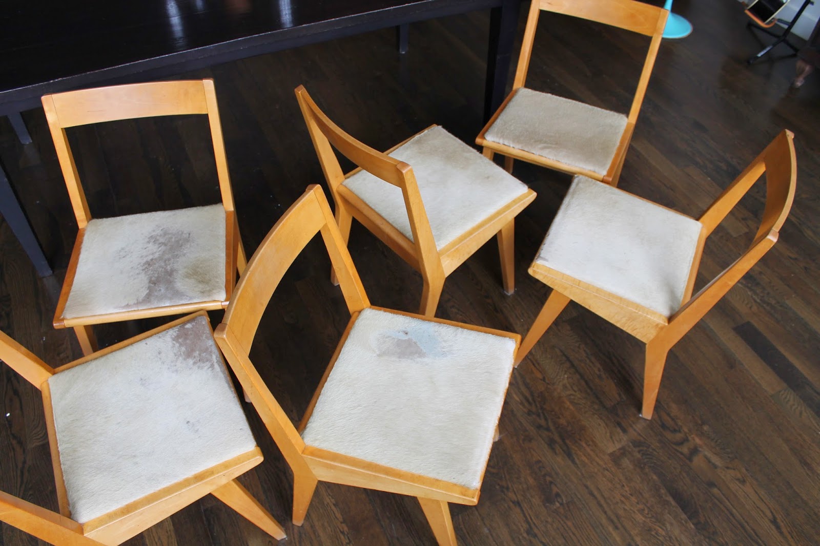 The Shingled House Grimy Dining Chairs