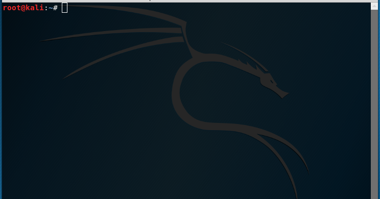 kali linux vpn tor kali linux vpn tor