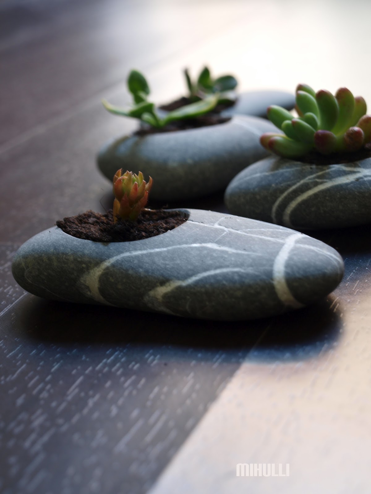 mihulli new zen gardens...