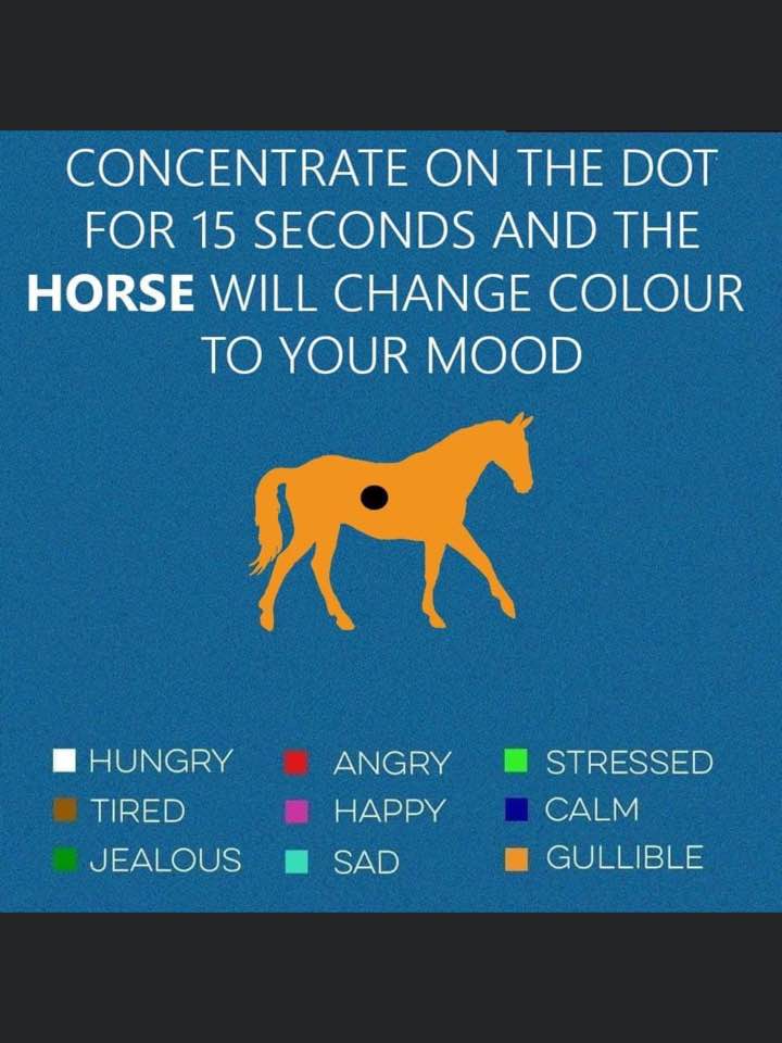 241488365_1059170138156852_7237383370208