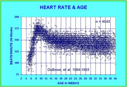Heart Rate Chart – An Introduction | DEFINE HEALTH