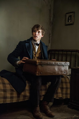 Fantastic Beasts and Where to Find Them Eddie Redmayne Picture