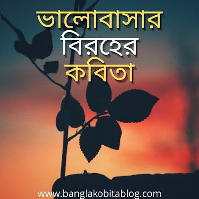 ভালোবাসার বিরহের কবিতা - "অন্তরাল"