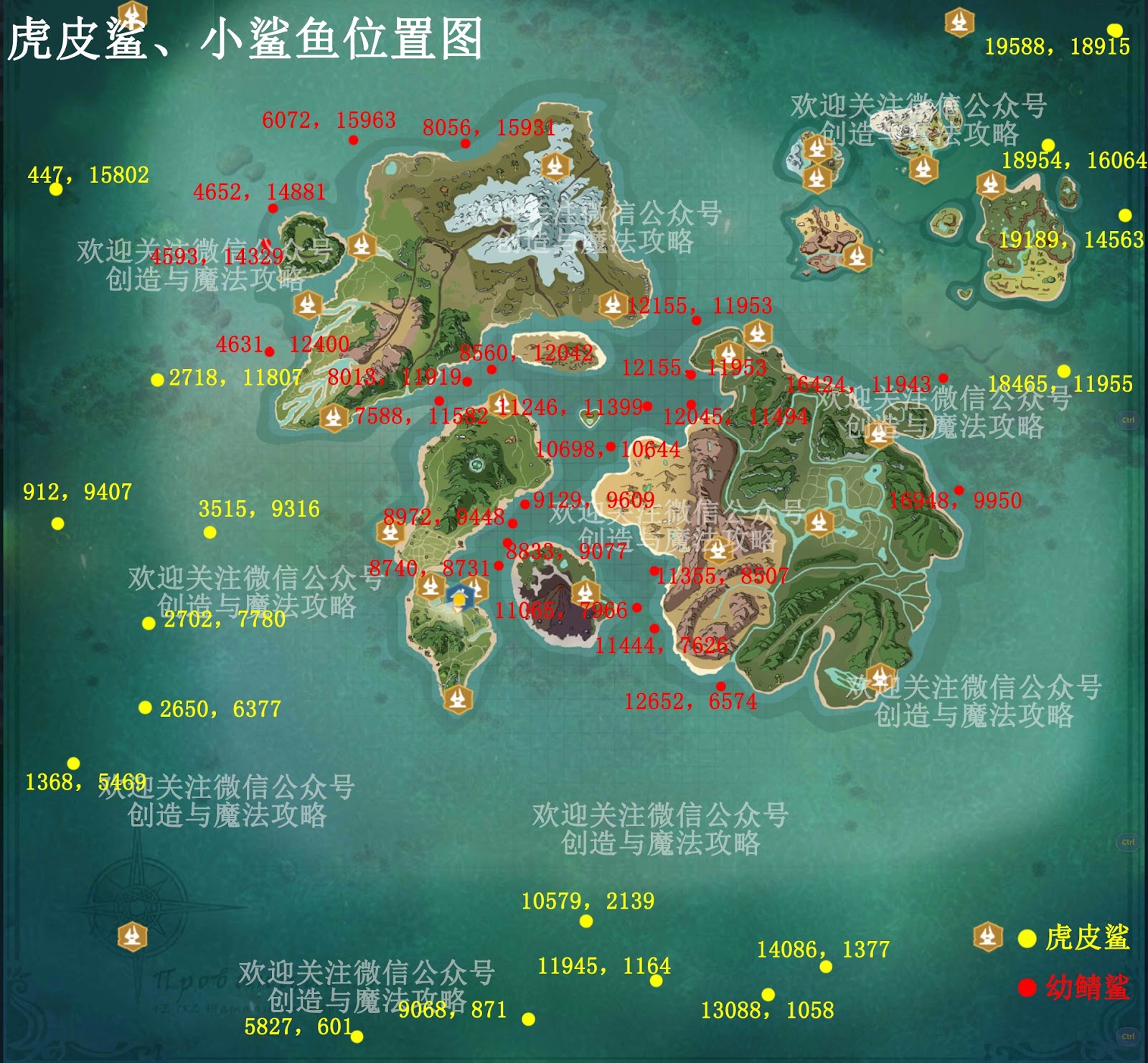 Lokasi Tiger skin shark Utopia Guide