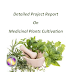 Project Report on Medicinal Plants Cultivation