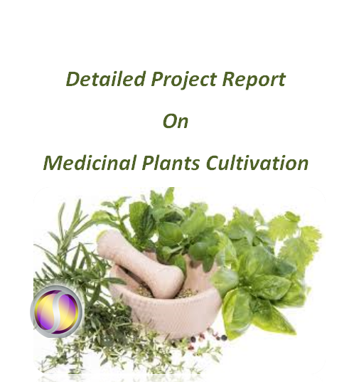 Project Report on Medicinal Plants Cultivation