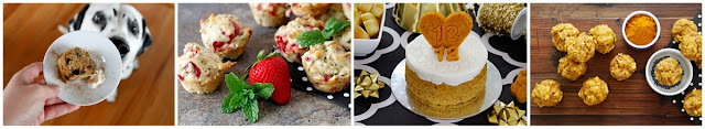 Dalmatian dog with a variety of homemade dog cakes and muffins (pupcakes)