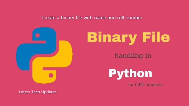 Create a binary file with name and roll number