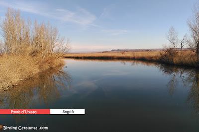 Pantà d'Utixesa (Lleida)