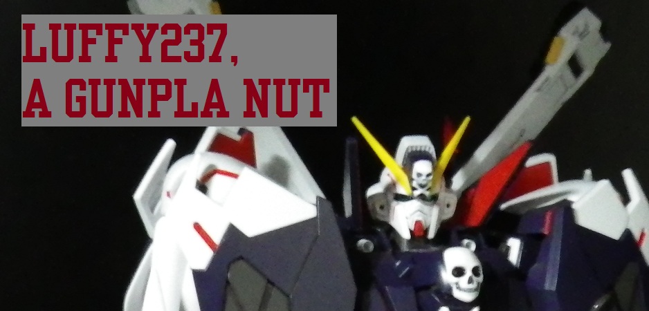 Luffy237, A Gunpla NuT