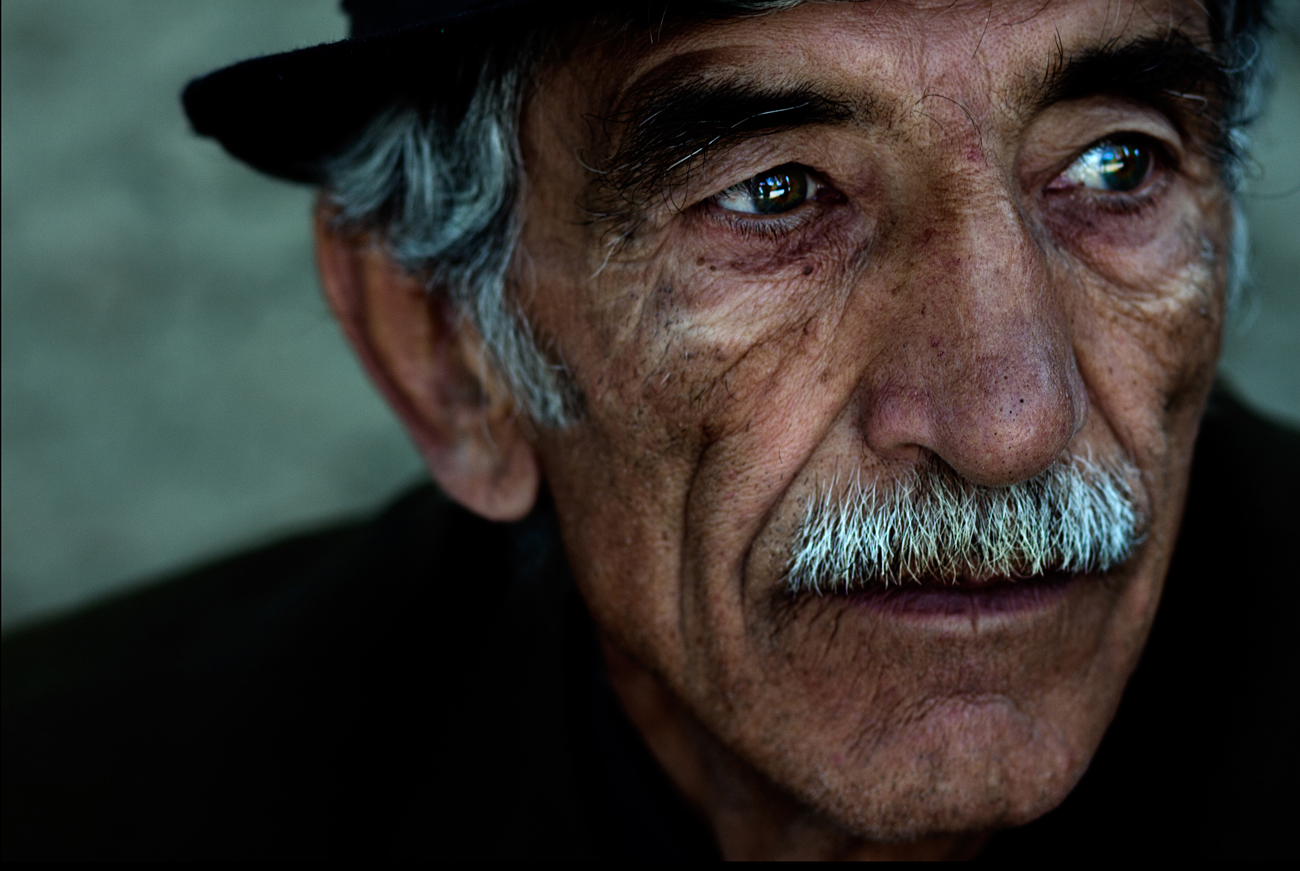 portrait photography portrait photography