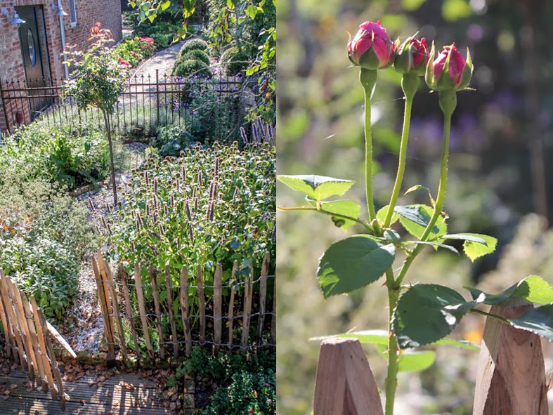 Heimgemacht: Mein Kräutergarten