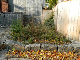 Toronto garden cleanup before Broadview North by Paul Jung Gardening Services