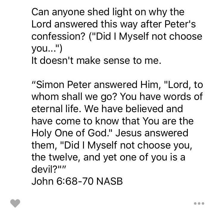 Question What did the Lord mean when He said, "Did I Myself not choose