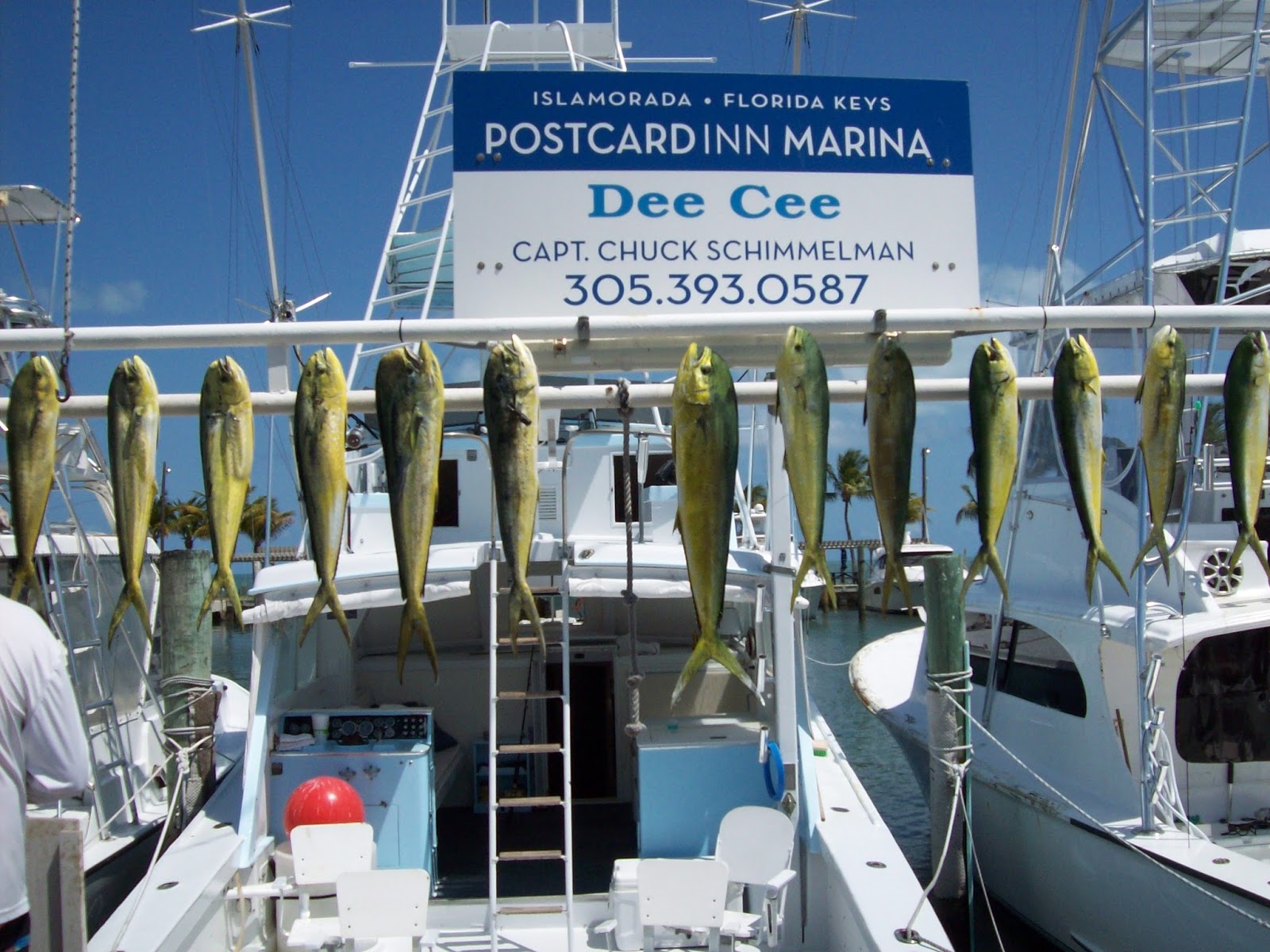 Postcard Inn Resort & Marina at Holiday Isle Captain's Fishing Report