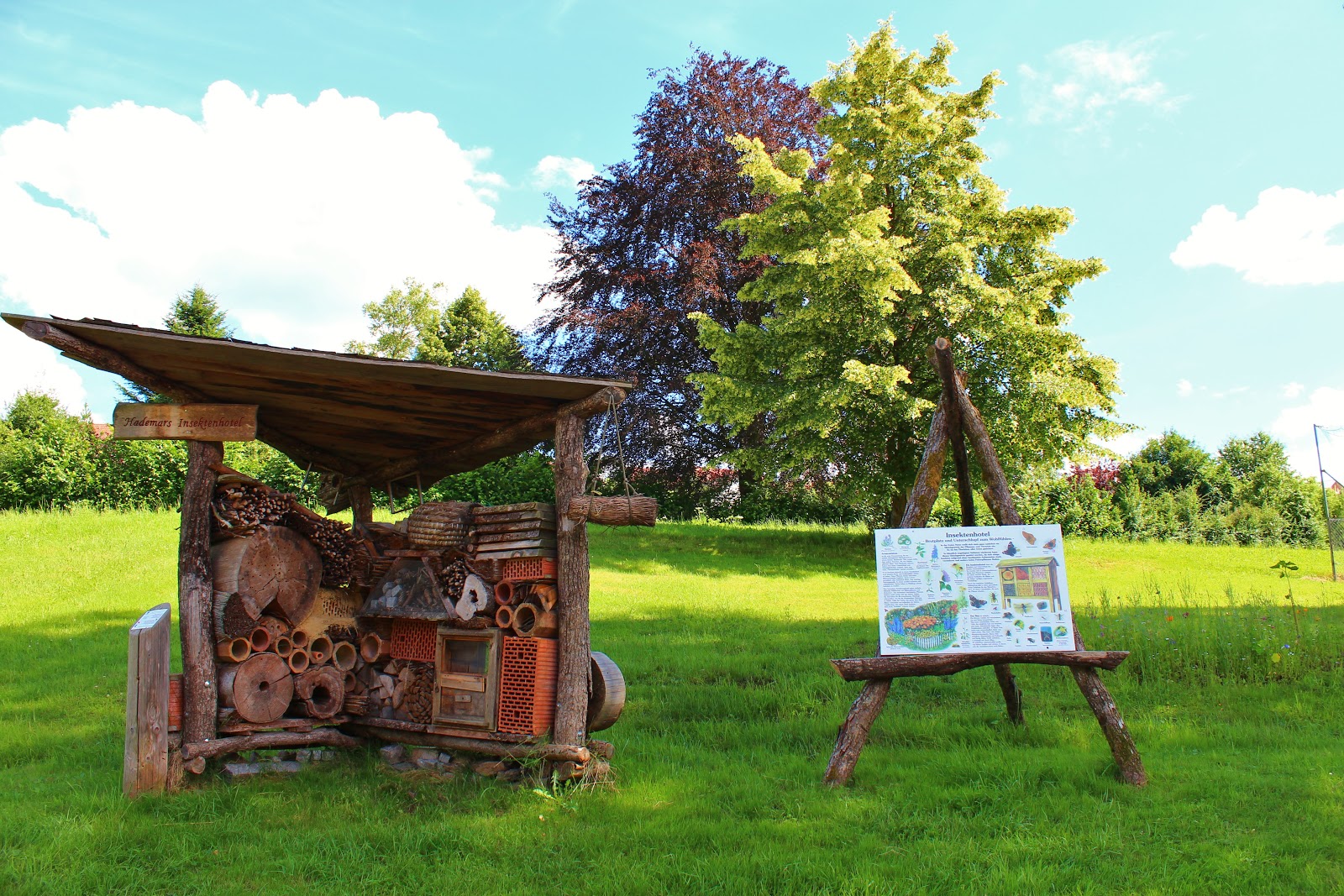 Hotels In Offenburg Billiger Buchen Kostenlose Stornierung Bei Ausgewahlten Hotels Expedia De