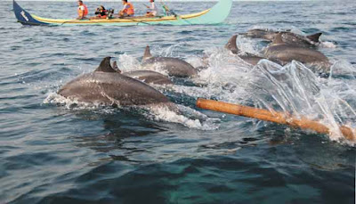 Menelusuri 9 Destinasi Wisata Lampung Yang Mempesona teluk-kiluan